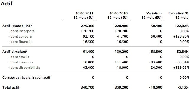 bilan comptable exemple actif