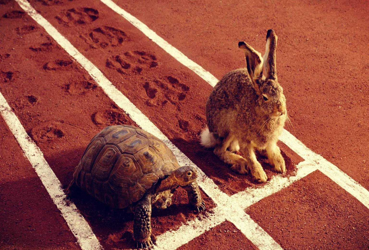 rien ne sert de courir il faut partir à point Comment réussir